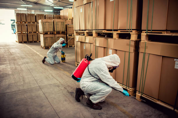 Best Pest Prevention Services  in Lonsdale, MN