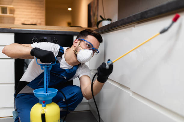 Best Affordable Pest Control Services  in Lonsdale, MN