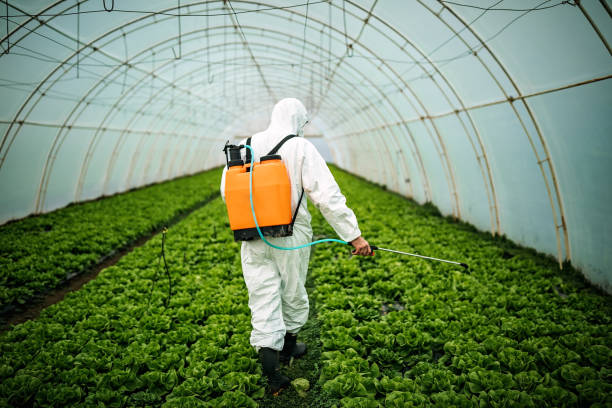 Best Best Pest Control Companies  in Lonsdale, MN