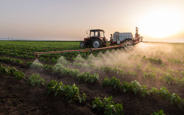 Best Mosquito Control Services  in Lonsdale, MN