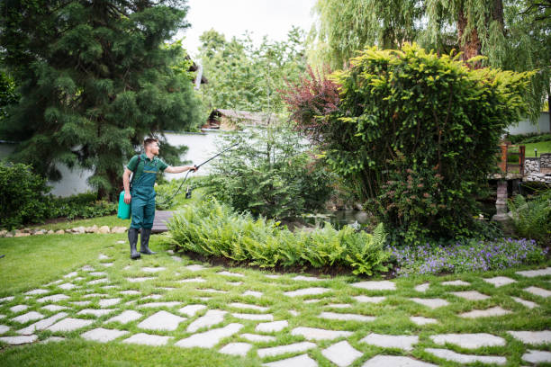Best Pest Control Near Me  in Lonsdale, MN
