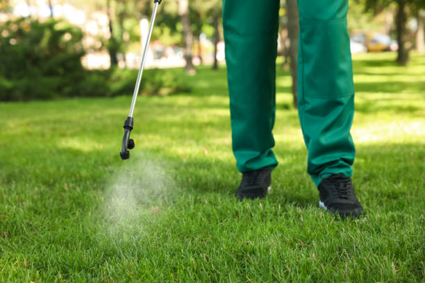 Pest Control for Restaurants in Lonsdale, MN