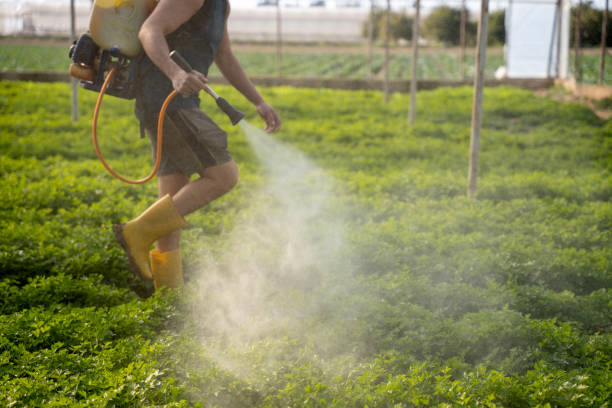Best Pest Control Treatment  in Lonsdale, MN