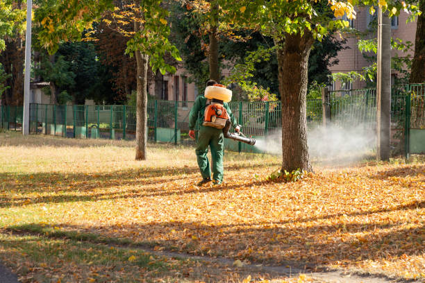 Best Wasp Removal Services  in Lonsdale, MN