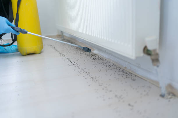 Pest Prevention Services in Lonsdale, MN