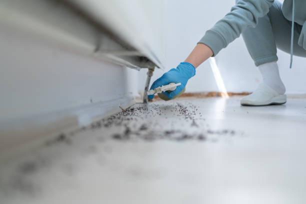 Best Affordable Pest Control Services  in Lonsdale, MN