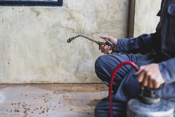 Best Emergency Pest Control  in Lonsdale, MN