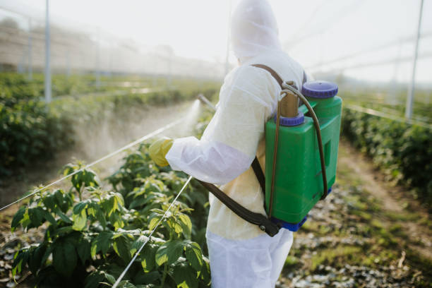 Best Pest Removal Services  in Lonsdale, MN